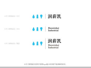 润薪凯 以专业设计塑造卓越企业形象，赋能品牌战略发展